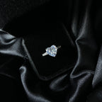 Conjunto Silver Shine