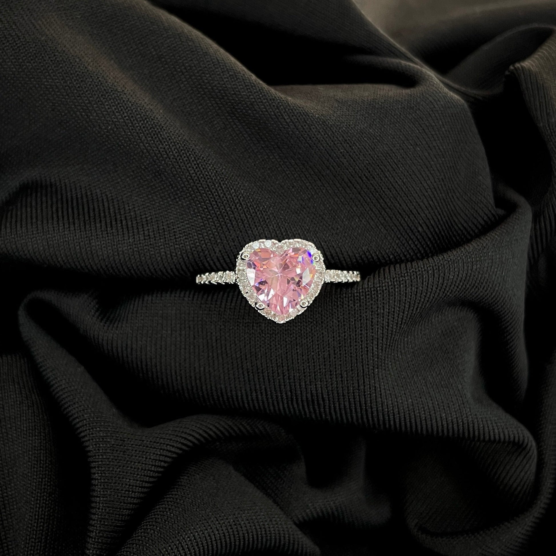 Pink rose